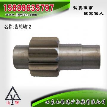 點(diǎn)擊查看詳細(xì)信息<br>標(biāo)題：齒輪軸12 江陰系列配件 閱讀次數(shù)：2182