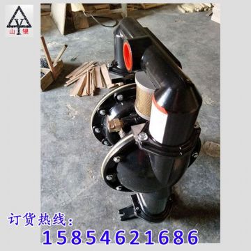 點(diǎn)擊查看詳細(xì)信息<br>標(biāo)題：氣動(dòng)隔膜泵著名品牌-氣動(dòng)隔膜泵廠家 閱讀次數(shù)：1965