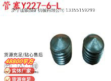 點(diǎn)擊查看詳細(xì)信息<br>標(biāo)題：英格索蘭隔膜泵配件管塞Y227-6-L 閱讀次數(shù)：313
