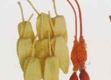 點(diǎn)擊查看詳細(xì)信息<br>標(biāo)題：取氣樣球膽 閱讀次數(shù)：174